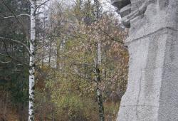 p1040350-kopiowanie.jpg