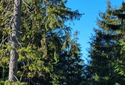 img-20221027-wa0029.jpg