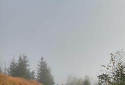 img-20221027-wa0012.jpg