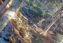 img-20221027-wa0011.jpg