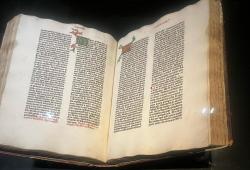 141.jpg